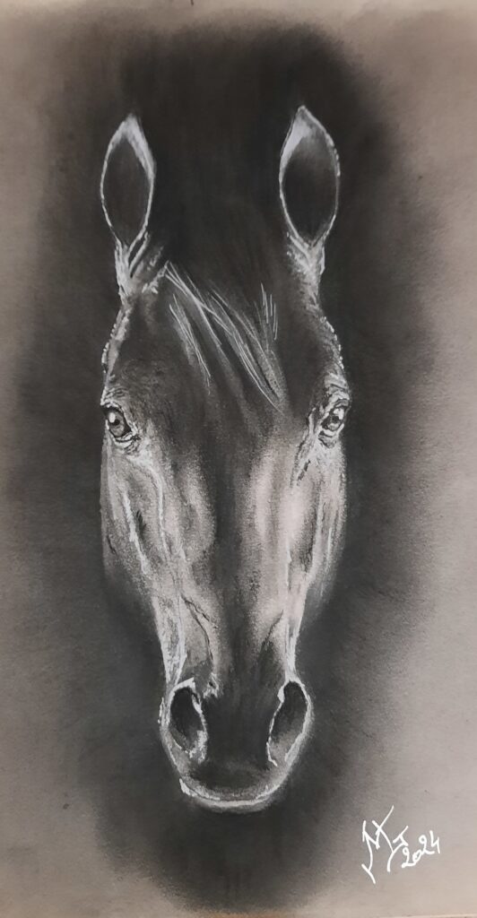 Graphite - Feutre fin